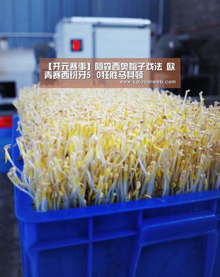 开元赛事